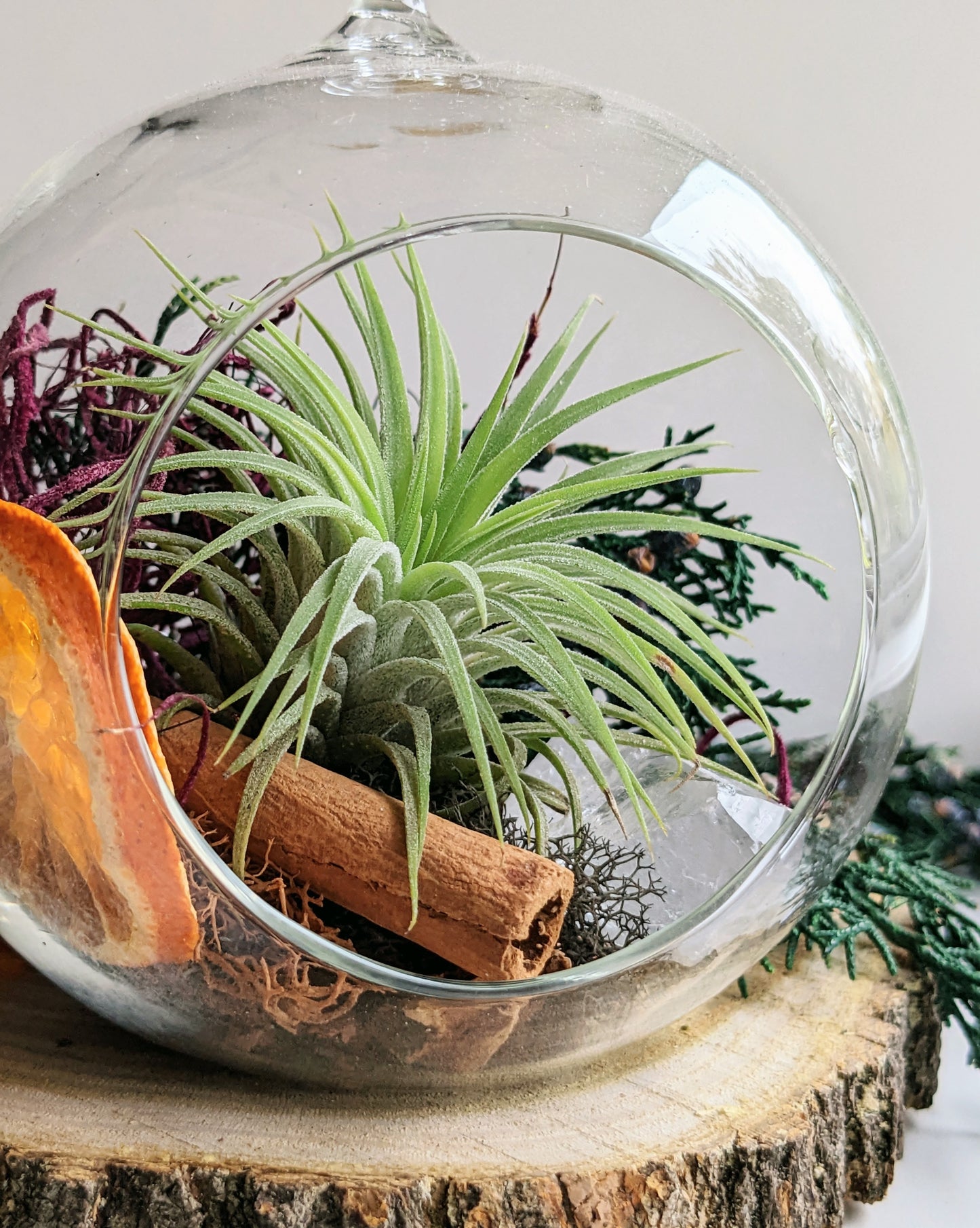 Firefly Market - Holiday November 7+8